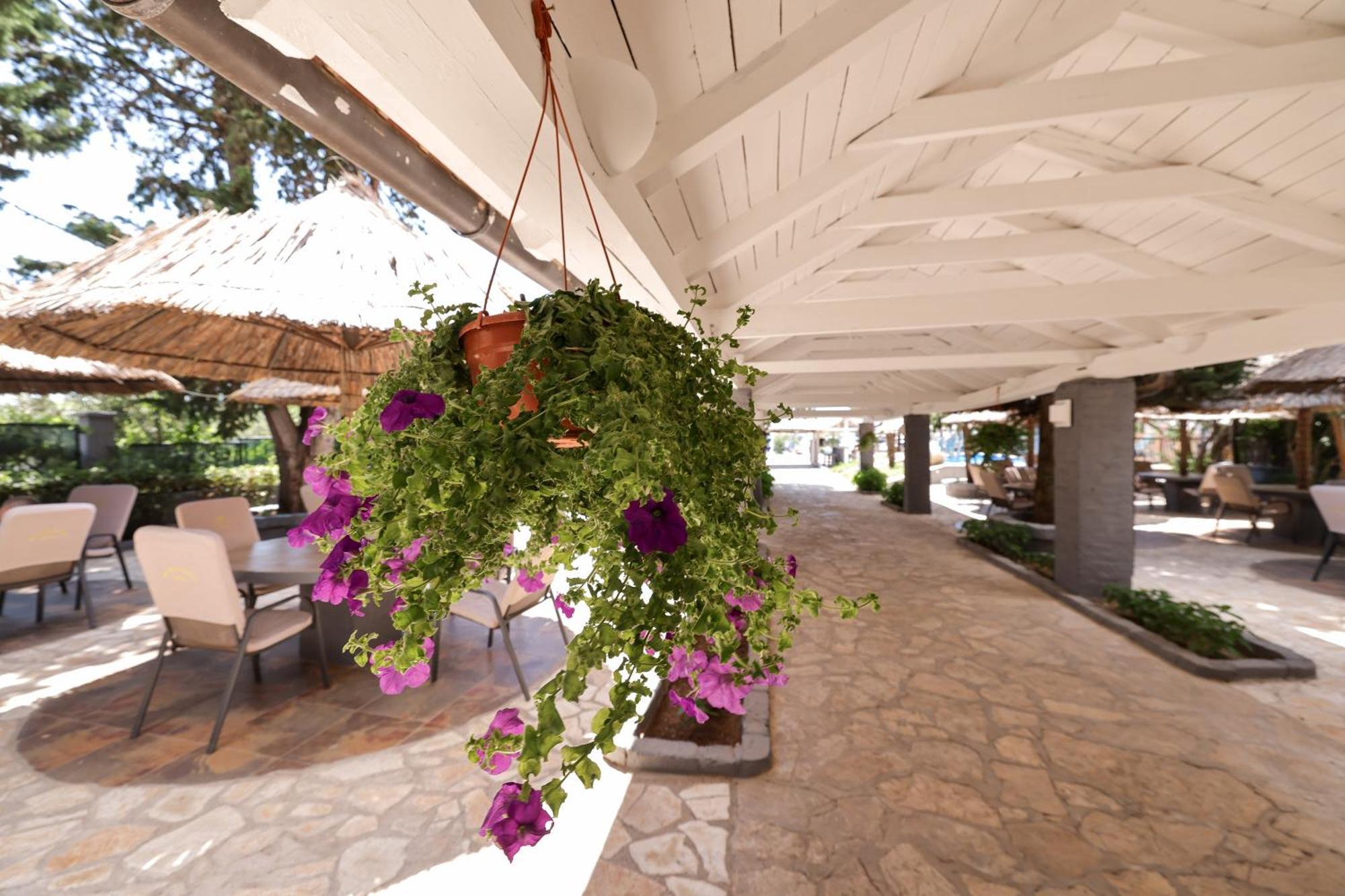 Tribunia Beach Hotel ตรีบูนย์ ภายนอก รูปภาพ